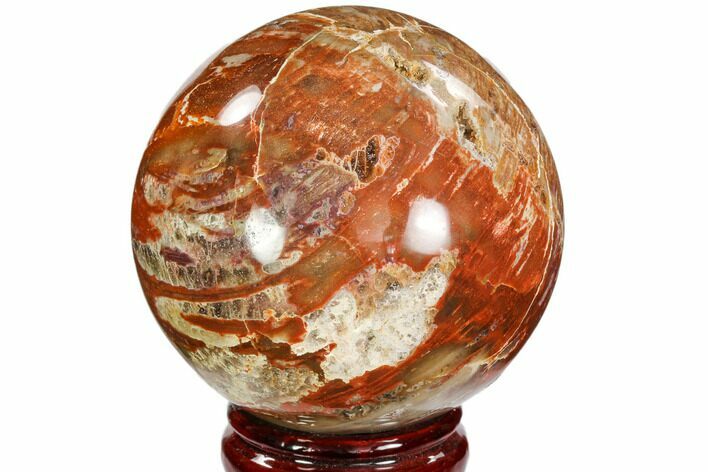 Colorful Petrified Wood Sphere - Madagascar #106986